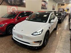 تێسلا مۆدێلی Y